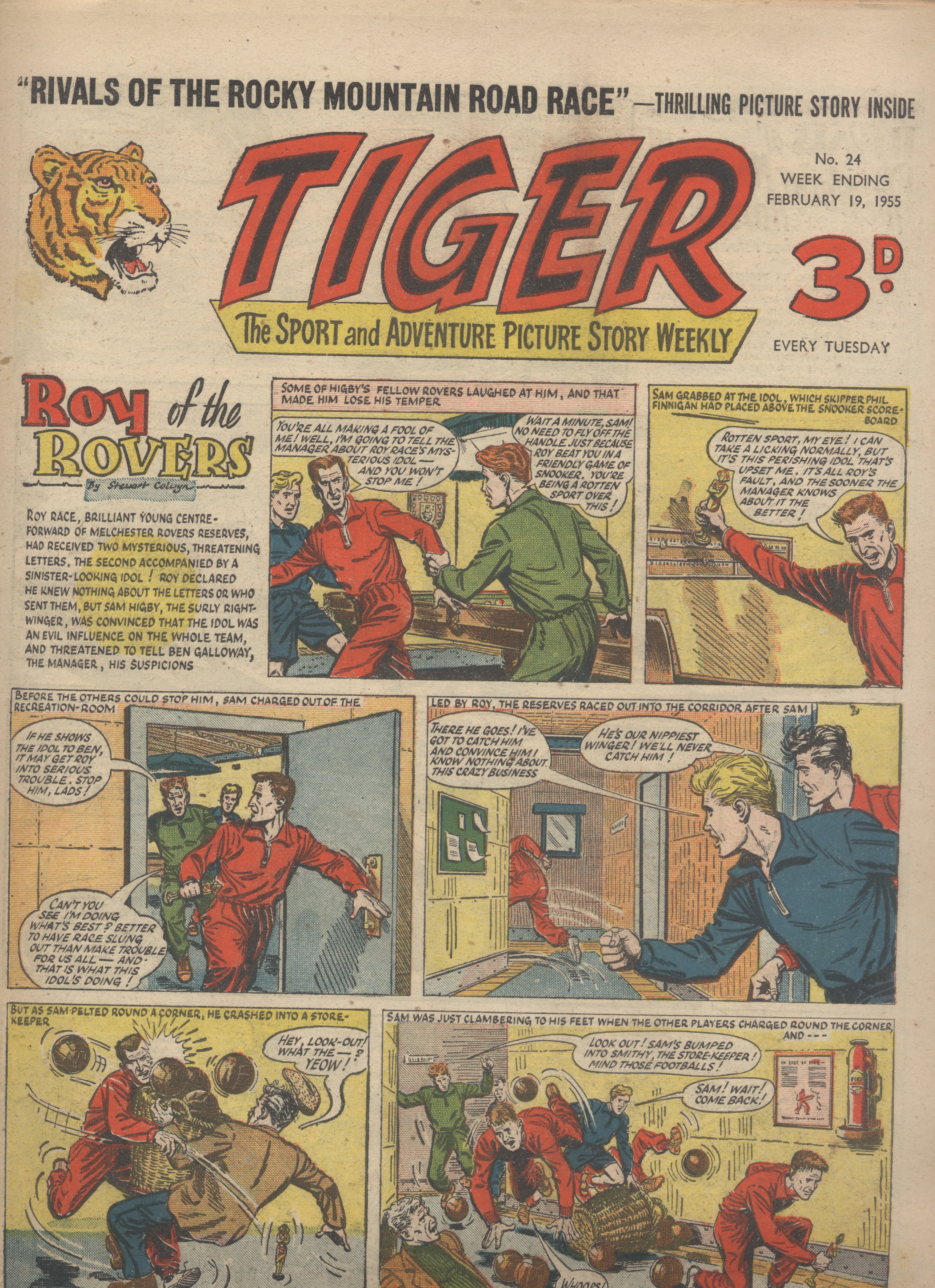 Tiger